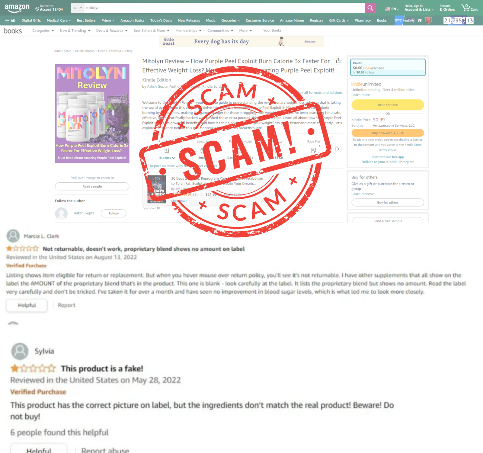 scam-alert-1.png